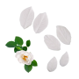 Molde Texturizador de Silicona - Hojas de Rosal 6 ud Molde Texturizador de Silicona - Hojas de Rosal 6 ud