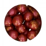Perlas De Chocolate Crujientes Wilton - Ginger Christmas (100 G) Perlas De Chocolate Crujientes Wilton - Ginger Christmas (100 G)