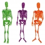 Esqueletos Colgantes de Colores 3 ud