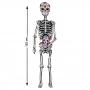 Figura de Cartón Articulado Esqueleto Catrina 152 cm