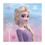 Juego de 20 Servilletas Frozen 2 Elsa y Anna Juego de 20 Servilletas Frozen 2 Elsa y Anna