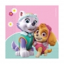 Juego de 20 Servilletas Skye y Everest Patrulla Canina Juego de 20 Servilletas Skye y Everest Patrulla Canina