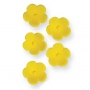 Juego de 30 flores amarillas de azúcar PME