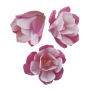 Magnolias de Oblea color Rosa 6 ud