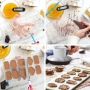 Molde de policarbonato de 10 cavidades con diferentes diseños Molde de policarbonato de 10 cavidades con diferentes diseños