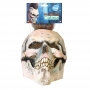 Máscara de Látex Calavera con Cresta Punky Máscara de Látex Calavera con Cresta Punky