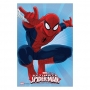 Oblea rectangular Spiderman C
