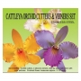 Kit Orquidea Cattleya: Cortadores y marcador