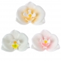 Juego de 6 Orquideas de Azúcar 7 cm - Dekora Juego de 6 Orquideas de Azúcar 7 cm - Dekora