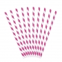 Pack de 10 Pajitas de Papel Rayas Fucsias Pack de 10 Pajitas de Papel Rayas Fucsias