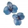 Set de 10 Orquídeas de Oblea Azules 8 cm