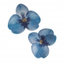 Set de 10 Orquídeas de Oblea Azules 8 cm Set de 10 Orquídeas de Oblea Azules 8 cm
